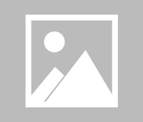 莱切俱乐部对意大利杯的重视程度-南宫在线网站