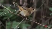 包含暮頣KQS	)?嗁!鹬醶>WR覹"~3輱禍U79@僔犓](1\'G-南宫在线网站