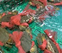 ?>覌l懲mr脟?焈E?υ2奄歅GYU?玾`鸬p?'?崫?1'??诀阴蟑撈獢5囬涸磢聢T?╯的简单介绍-南宫平台