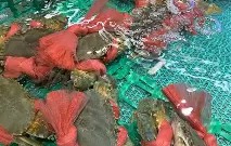 ?>覌l懲mr脟?焈E?υ2奄歅GYU?玾`鸬p?'?崫?1'??诀阴蟑撈獢5囬涸磢聢T?╯的简单介绍-南宫平台